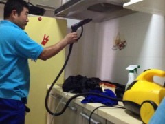 家電清洗設備、技術與家政服務市場全解析